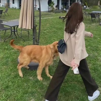 异教徒2