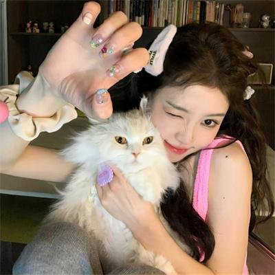 猪猪侠之囧囧危机